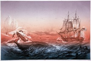 Walvisvaartuig kon zijn omgeslagen boten niet redden door Unknown artist