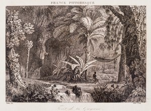 Gravure die de Franse kolonie Guyana in Zuid-Amerika afbeeldt 1850 door Unknown artist