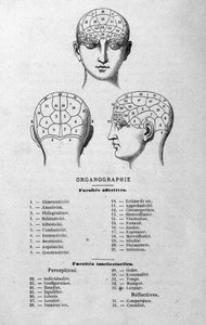 Illustratie uit Charles Rouvins boek van 1873 Organographie La Tête humaine, geïllustreerde studies van frenologie en fysiognomie toegepast op beroemde personages Parijs 1873 door Unknown artist