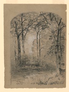 Tekening, Bosstudie, 1865-70 door Unknown artistUnknown artist