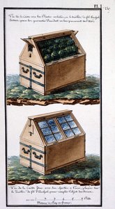 1. Uitzicht op de doos met verpakte planten, en archal draadgaas bovenop: om ze te beschermen tegen ongevallen door lucht te voorzien. Uitzicht op het lichaam hetzelfde met zijn glazen frames, geplaatst op het archal draadgaas: om het doel van de serres te door Unknown artist