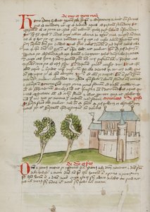 Een vogel in een boom bij een stad door Unknown artist