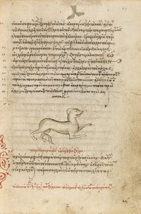 Een hond door Unknown artist