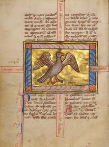 Een valk door Unknown artist