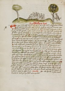Een zwerm vogels onder een boom inclusief een gekroonde adelaar met een heraldisch blazoen op zijn vleugels