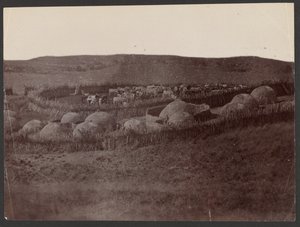 A Kraal, Zulu Land door Unknown artist