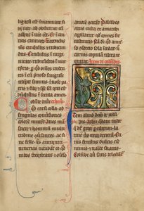 Een peridexionboom door Unknown artist