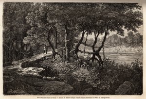 Een hangbrug in de Terai (
