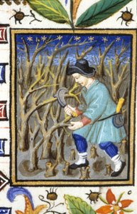 Allegorische voorstelling van maart. Een man die struiken snoeit. Miniatuur van een 14e-eeuws manuscript