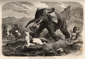 Een olifant eindigt de troep die hem achtervolgde en laadt de jagers te paard, terwijl een van de jagers zijn arm richt om hem te stoppen en af te maken met een moeras. Gravure ter illustratie van de verkenning van de Abessijnse zijrivieren van de Nijl, do
