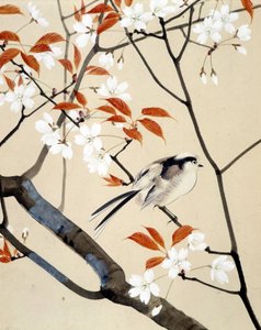 Vogel en bloeiende kersenboom - Japanse tekening door Riou Chim, eind 19e eeuw