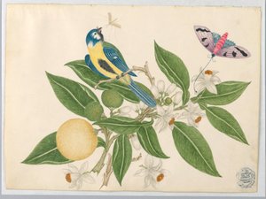 Vogel op een Sinaasappeltak, met Vlinder