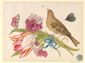 Vogel met Tulp, Anjer, Vlinders en Insect