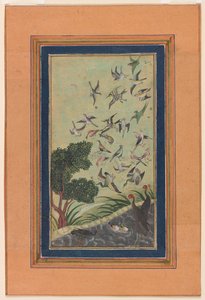 Vogels bij Baran, mogelijk uit de Babur-nama door Unknown artist