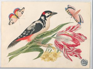 Zwart-wit gevlekte vogel op tulpenstengel, met narcissen en vlinders