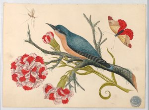 Blauwe vogel op tak met anjers en insecten