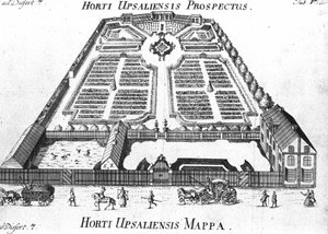 Botanische tuin - HORTI UPSALIENSIS perspectief en plan.
