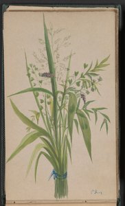 Boeket bloemen en grassen