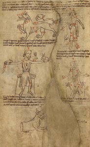 Sterrenbeeld diagrammen door Unknown artist