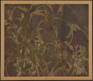 Hanekammen, maïs en ochtendglorie