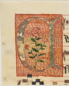 Versierde initiaal "A" met bloem uit een manuscript door Unknown artist