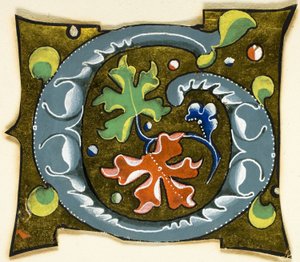 Gedecoreerde initiaal "G" in grijs met rode, groene en blauwe bladeren uit een manuscript