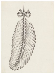 Ontwerp voor een broche in de vorm van een veer door Unknown artist