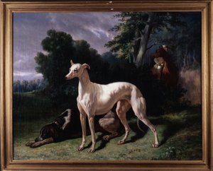 Honden (Levary)