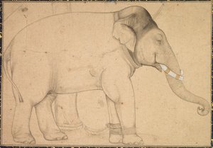 Tekening van een Olifant