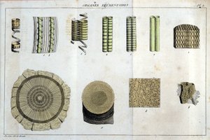 Elementaire organen: in 