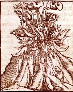 Uitbarsting van een vulkaan. 16e-eeuwse gravure.