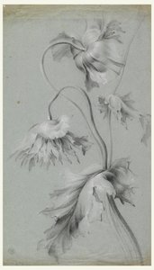 Bloemmotief door Unknown artist