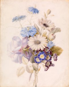 Bloemen met madeliefjes