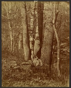 [Meisje zittend tussen bomen] door Unknown artist