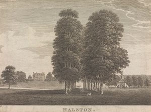 Halston; pagina 22 (Volume Twee) door Unknown artist