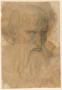 Hoofd van een bebaarde oudere man door Unknown artist