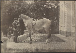 [Paard en Mens] door Unknown artist