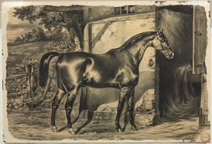 Paard voor een schuur (verso) door Unknown artist