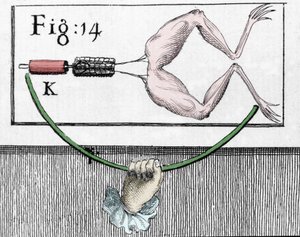Illustratie van experimenten door Luigi Galvani, Italiaanse natuurkundige en arts (1737 - 1798) die de doorgang van elektrische stroom door de benen van een kikker uitlegt. door Unknown artist