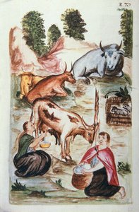 Indiase herders zorgen voor koeien, uit het boek "Trujillo del Peru" of "Códice Martínez Compañón", door Baltazar Martinez Compañón y Bujanda, bisschop van Trujillo (1782-1785) door Unknown artist