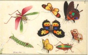 Insecten door Unknown artist
