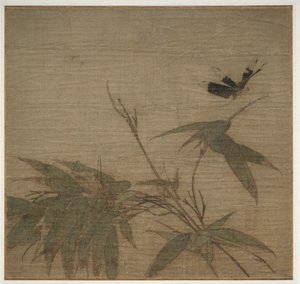 Insecten en bamboe
