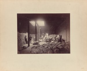 [Interieur van wolsorteerhuis, Walter Brown and Company]. door Unknown artist