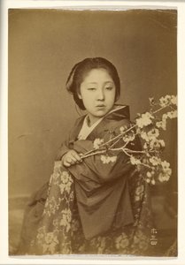 [Japanse vrouw die bloeiende prunustak vasthoudt].