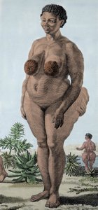 La Venus Hottentote, vrouw van het Bochiman-ras; gravure uit 1815. door Unknown artist