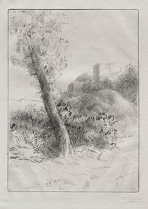 Landschap
