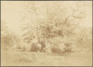 [Landschap]