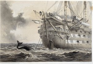 Het leggen van de Atlantische telegraafkabel, een walvis rond de boot