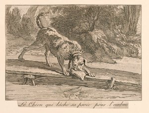 "De hond die zijn prooi loslaat voor de schaduw" uit La Fontaine