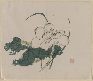Lotusbloem door Unknown artist